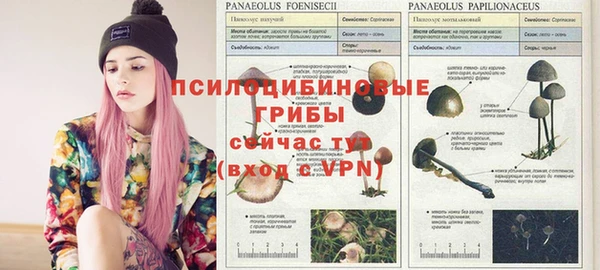 винт Козловка