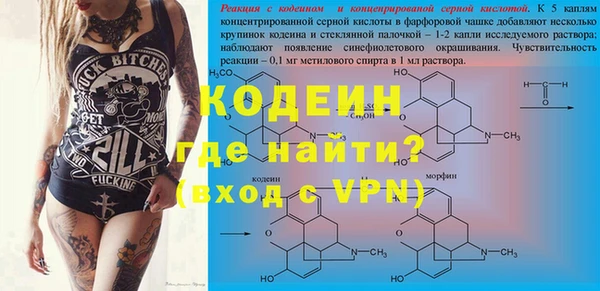 ПСИЛОЦИБИНОВЫЕ ГРИБЫ Касимов