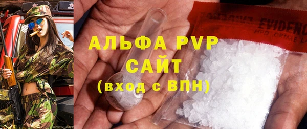 PSILOCYBIN Кодинск