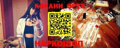 гидра Новозыбков