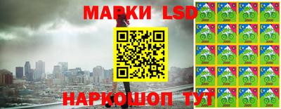 гидра Новозыбков