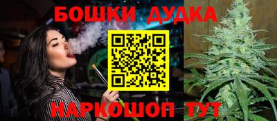 бошки Новодвинск