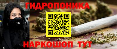 гидра Новозыбков