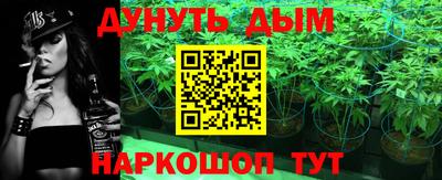 гидра Новозыбков